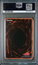 画像2: ダーク・ホルス・ドラゴン レリーフ (PTDN-JP016) PSA10 (2)